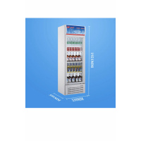 兴南冷柜 LG-268 立式冷柜