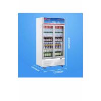 兴南冷柜 LG-820 立式冷柜