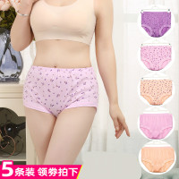 5条装!纯棉内裤女士高腰棉中老年三角裤加肥加大码宽松老人裤头