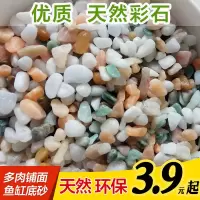 天然雨花石 【拍3发4份】多肉铺面盆栽水培植物铺底鱼缸底砂造景装饰五彩石头