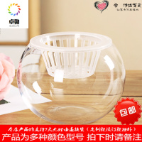水培植物玻璃瓶 绿萝花瓶花盆玻璃圆球水养鱼缸器皿容器送定制栏