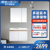 恒洁(HEGII)简约现代浴室柜组合 洗手盆洗脸盆豪华卫生间洗漱台卫浴柜 悬挂式镜柜面盆套装 HBT506024N亮光白