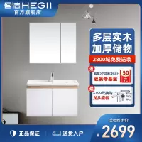 恒洁(HEGII)简约现代浴室柜组合 洗手盆洗脸盆豪华卫生间洗漱台卫浴柜 悬挂式镜柜面盆套装 HBT506024N亮光白