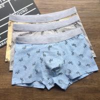 3件装青少年内裤男平角裤初中生学生纯色棉质育期中大童短裤头