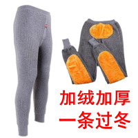 男士保暖裤男冬加绒加厚打底裤棉裤毛裤加护膝中老年人热能裤线裤