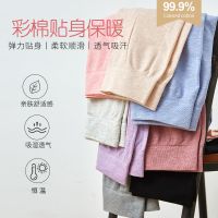 秋冬女士秋裤保暖裤无痕少女内穿修身棉质纯色高弹力棉毛裤打底裤