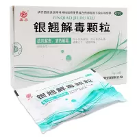 嘉应 银翘解毒颗粒10袋 风热发热头痛咳嗽口干咽喉疼痛