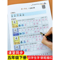 五年级下册同步字帖练字帖部编人教版语文课本同步写字课课练一课一练小学笔顺笔画练字正楷书写钢笔临摹生字抄写本课文内容默