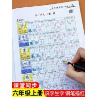 六年级上册字帖练字帖部编人教版语文课本同步写字课课练一课一练小学正楷书写钢笔临摹课文内容默写能手生字抄写本字词训练天