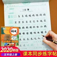 五年级上册字帖练字帖人教版小学生写字课课练专项同步训练练册小学语文生字抄写练字人教部编版天天练上每日一练书练本教材