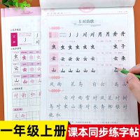 一年级上册字帖练字帖同步训练一课一练部编人教版语文教材课本配套专项写字练字本小学生铅笔描红本词语积累汉字描红生字抄写