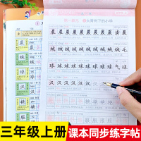 三年级上册语文同步字帖部编人教版小学生写字练字专项强化训练练字帖天天练生字抄写小学一课一练钢笔楷书练册课本描红书上学
