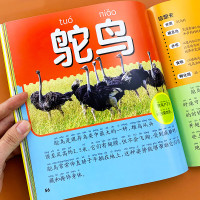 鸟类昆虫百科全书彩图注音版一二三年级小学生课外阅读书籍6-7-8-9-10岁中国少年儿童科普书籍百科大全动物世界儿童