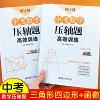 周计划中考数学压轴题挑战高效训练全套必刷题函数三角形与四边形专项强化练册天天练初中初三九年级升学培优冲刺真题模拟试卷