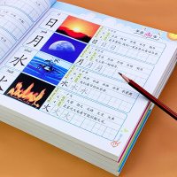 学前识字幼儿园识字拼音早教书籍3岁4岁读物幼小衔接整合教材全套一日一练儿童拼音拼读思维训练幼儿园幼儿识字书启蒙认字早