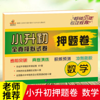 2020版 小升初全真模拟试卷押题卷数学 小学毕业升学总复押题卷考前突破真题演练冲刺名校 小学升初中试卷押题卷 荣恒
