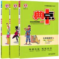 典中点七年级下语文数学英语全套3册人教版 初中荣德基典中点7七年级下册语数英同步练册初一下册同步训练辅导资料必刷题资