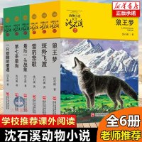 沈石溪动物小说全集6册 狼王梦正版沈石溪第七条猎狗/斑羚飞渡/ 后一头战象/雪豹悲歌/一只猎雕的遭遇四五六年级学校课