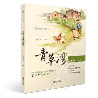 纸房子系列:青草湾 张吉宙