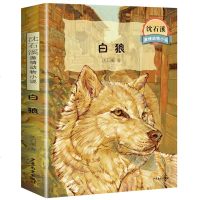 正版白狼书沈石溪激情动物小说 青少年中小学生课外书儿童文学小学生课外阅读书籍三四五六年级老师推荐阅读沈石溪动物小说集