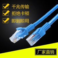 游猎者 网线1/3/5/20/30/50/100米高速电脑宽带成品家用网络线路由器网线