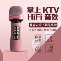 游猎者 儿童蓝牙麦克风音响一体话筒手机唱歌无线宝宝掌上ktv自带扩音器
