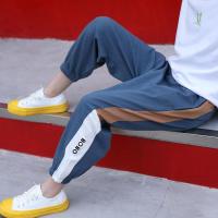 儿童裤子男童防蚊裤夏装薄款长裤中大童宽松运动裤男孩帅气灯笼裤威珺