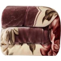 双层加厚拉舍尔毛毯春秋冬季毛毯子盖毯结婚庆单双人学生冬被绒毯涡曼