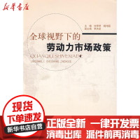 [新华书店]正版 全球视野下的劳动力市场政策沈琴琴9787504567604中国劳动出版社 书籍