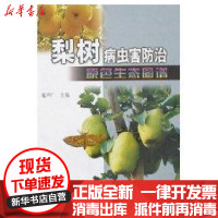 [新华书店]正版梨树病虫害防治原色生态图谱夏声广中国农业出版社9787109115279植物保护
