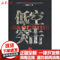 【新华书店】正版 低空突击草根汉子云南人民出版社9787222063341 书籍