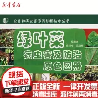 [新华书店]正版 绿叶菜病虫害及防治原色图册商鸿生9787508246581金盾出版社 书籍