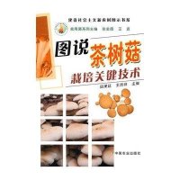 【新华书店】正版 图说茶树菇栽培关键技术/建设社会主义新农村图示书系张金霞9787109151703中国农业出版社 书籍