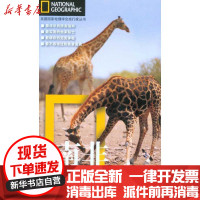 [新华书店]正版 南非高斯旅游教育出版社9787563719860 书籍