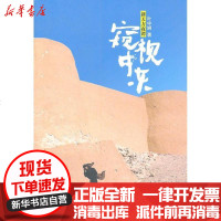 【新华书店】正版 新天方夜谭：窥视中东叶中娴9787308084857浙江大学出版社 书籍