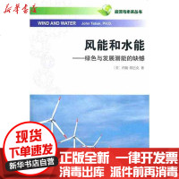 【新华书店】正版 风能和水能——绿色与发展潜能的缺憾[美]约翰·塔巴克9787100087681商务印书馆 书籍