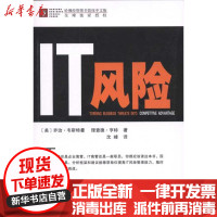 [新华书店]正版 IT风险理查德·亨特商务印书馆9787100073684 书籍