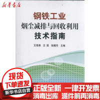 [新华书店]正版 钢铁工业烟尘减排与回收利用技术指南王海涛9787502457396冶金工业出版社 书籍