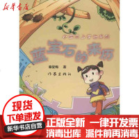 [新华书店]正版 蓝宝石的来历秦爱梅9787506365161作家出版社 书籍