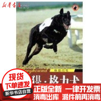 [新华书店]正版 世界名犬-灵提格力犬9787536946781陕西科学技术出版社 书籍