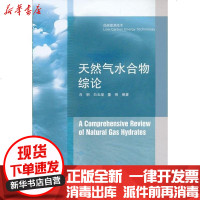 [新华书店]正版 天然气水合物综论肖钢9787040340099高等教育出版社 书籍