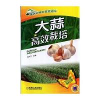 【新华书店】正版 大蒜高效栽培无9787111476856机械工业出版社 书籍