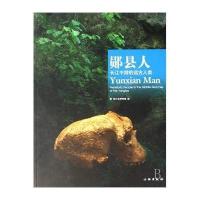 [新华书店]正版 郧县人:长江中游的远古人类湖北省博物馆文物出版社9787501022496 书籍