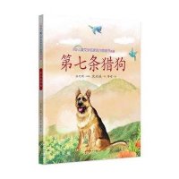 [新华书店]正版 中国儿童文学名家名作图画书典藏•第七条猎狗沈石溪南方出版社9787550122574 书籍
