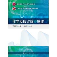 [新华书店]正版 化学反应过程与操作丁晓民9787122222381化学工业出版社 书籍