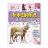 [新华书店]正版 帅气小马奥讷·海德9787550710863海天出版社 书籍