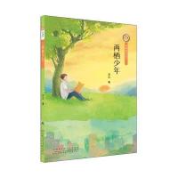 [新华书店]正版 小橘灯精品系列?两栖少年刘北安徽少年儿童出版社9787539792422 书籍