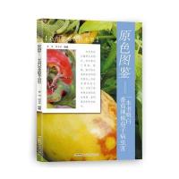 【新华书店】正版 原色图鉴：一本书明白番茄辣椒茄子病虫害董伟9787533770365安徽科学技术出版社 书籍