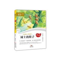 [新华书店]正版 树上的鞋子冰波广东新世纪出版社9787558303661 书籍