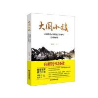 [新华书店]正版 大国小镇:中国特色小镇顶层设计与行动路径陈光义中国财富出版社9787504765871 书籍